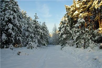 《卧龙》超猛玩家穿着内裤打Boss 张梁吕布都无奈了